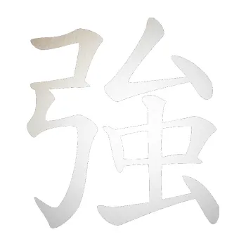 Polep vozidla SAMOLEPKA Čínský znak Strong (82 - odrazková reflexní bílá) NA AUTO, NÁLEPKA, FÓLIE, POLEP, TUNING, VLASTNÍ TEXT, TISK, AUTOSAMOLEPKY.cz, POLEPY, OBRÁZEK, LOGO, SAMOLEPKY