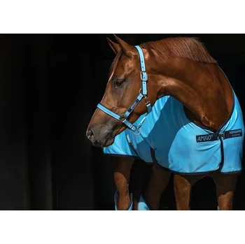 AMIGO Ohlávka Amigo, delphinium blue/navy PONY