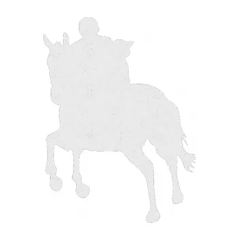 Samolepící dekorace SAMOLEPKA Kůň 021 levá s jezdcem (84 - Ultra Metalic bílá) NA AUTO, NÁLEPKA, FÓLIE, POLEP, TUNING, VLASTNÍ TEXT, TISK, AUTOSAMOLEPKY.cz, POLEPY, OBRÁZEK, LOGO, SAMOLEPKY