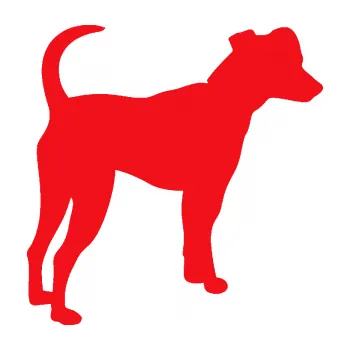 Polep vozidla SAMOLEPKA Pes 098 pravá Pražský krysařík (10 - červená) NA AUTO, NÁLEPKA, FÓLIE, POLEP, TUNING, VLASTNÍ TEXT, TISK, AUTOSAMOLEPKY.cz, POLEPY, OBRÁZEK, LOGO, SAMOLEPKY