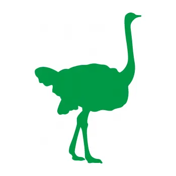 Samolepící dekorace Pštros 001 pravá (12 - zelená) SAMOLEPKA NA AUTO, NÁLEPKA, FÓLIE, POLEP, TUNING, VLASTNÍ TEXT, TISK, AUTOSAMOLEPKY.cz, POLEPY, OBRÁZEK, LOGO, 3D STICKERS