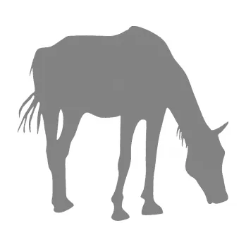 Samolepící dekorace SAMOLEPKA Kůň 008 pravá (17 - šedá) NA AUTO, NÁLEPKA, FÓLIE, POLEP, TUNING, VLASTNÍ TEXT, TISK, AUTOSAMOLEPKY.cz, POLEPY, OBRÁZEK, LOGO, SAMOLEPKY