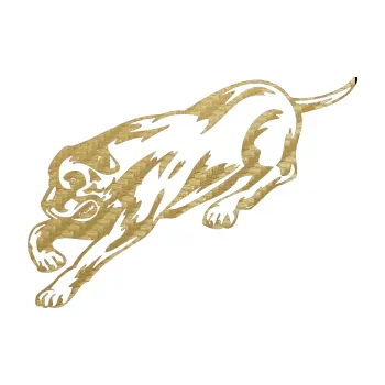 Polep vozidla SAMOLEPKA Pes 049 levá (59 - 3D karbon zlatý) NA AUTO, NÁLEPKA, FÓLIE, POLEP, TUNING, VLASTNÍ TEXT, TISK, AUTOSAMOLEPKY.cz, POLEPY, OBRÁZEK, LOGO, SAMOLEPKY