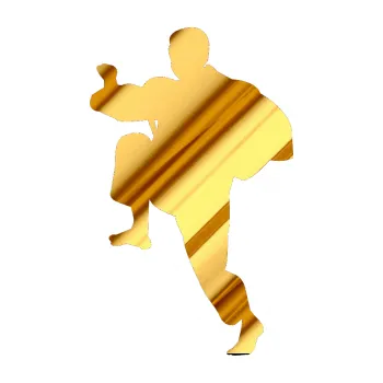 Polep vozidla Karate 007 levá (81 - chrom fólie zlatá zrcadlová) SAMOLEPKA NA AUTO, NÁLEPKA, FÓLIE, POLEP, TUNING, VLASTNÍ TEXT, TISK, AUTOSAMOLEPKY.cz, POLEPY, OBRÁZEK, LOGO, 3D STICKERS