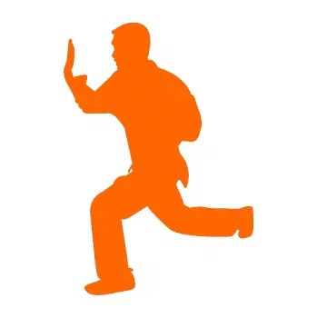 Polep vozidla Karate 002 levá (73 - Fluorescentní oranžová) SAMOLEPKA NA AUTO, NÁLEPKA, FÓLIE, POLEP, TUNING, VLASTNÍ TEXT, TISK, AUTOSAMOLEPKY.cz, POLEPY, OBRÁZEK, LOGO, 3D STICKERS