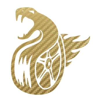 Samolepicí dekorace na vozidlo Had s kolem levá pneumatika v plamenech (59 - 3D karbon zlatý) SAMOLEPKA NA AUTO, NÁLEPKA, FÓLIE, POLEP, TUNING, VLASTNÍ TEXT, TISK, AUTOSAMOLEPKY.cz, POLEPY, OBRÁZEK, LOGO, 3D STICKERS