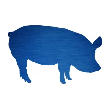 Samolepící dekorace SAMOLEPKA Prase 001 pravá (65 - škrábaný kov modrý) NA AUTO, NÁLEPKA, FÓLIE, POLEP, TUNING, VLASTNÍ TEXT, TISK, AUTOSAMOLEPKY.cz, POLEPY, OBRÁZEK, LOGO, SAMOLEPKY
