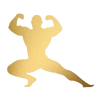 Polep vozidla Kulturista 015 pravá (43 - zlatá metalíza) SAMOLEPKA NA AUTO, NÁLEPKA, FÓLIE, POLEP, TUNING, VLASTNÍ TEXT, TISK, AUTOSAMOLEPKY.cz, POLEPY, OBRÁZEK, LOGO, 3D STICKERS