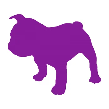 Polep vozidla SAMOLEPKA Pes 108 levá Francouzský buldoček (14 - fialová) NA AUTO, NÁLEPKA, FÓLIE, POLEP, TUNING, VLASTNÍ TEXT, TISK, AUTOSAMOLEPKY.cz, POLEPY, OBRÁZEK, LOGO, SAMOLEPKY