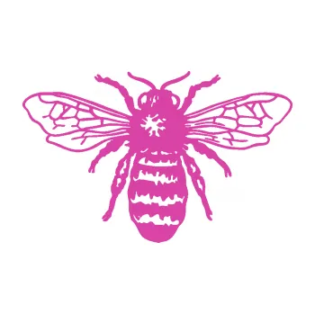 Samolepící dekorace Moucha 005 (16 - růžová) SAMOLEPKA NA AUTO, NÁLEPKA, FÓLIE, POLEP, TUNING, VLASTNÍ TEXT, TISK, AUTOSAMOLEPKY.cz, POLEPY, OBRÁZEK, LOGO, 3D STICKERS