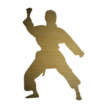 Polep vozidla SAMOLEPKA Karate 011 levá (64 - škrábaný kov zlatý) NA AUTO, NÁLEPKA, FÓLIE, POLEP, TUNING, VLASTNÍ TEXT, TISK, AUTOSAMOLEPKY.cz, POLEPY, OBRÁZEK, LOGO, SAMOLEPKY