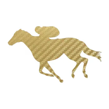 Samolepící dekorace SAMOLEPKA Kůň 027 levá závodí s jezdcem (59 - 3D karbon zlatý) NA AUTO, NÁLEPKA, FÓLIE, POLEP, TUNING, VLASTNÍ TEXT, TISK, AUTOSAMOLEPKY.cz, POLEPY, OBRÁZEK, LOGO, SAMOLEPKY