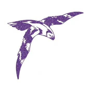 Samolepicí dekorace na vozidlo Predators 062 pravá (87 - Ultra Metalic fialová) SAMOLEPKA NA AUTO, NÁLEPKA, FÓLIE, POLEP, TUNING, VLASTNÍ TEXT, TISK, AUTOSAMOLEPKY.cz, POLEPY, OBRÁZEK, LOGO, 3D STICKERS