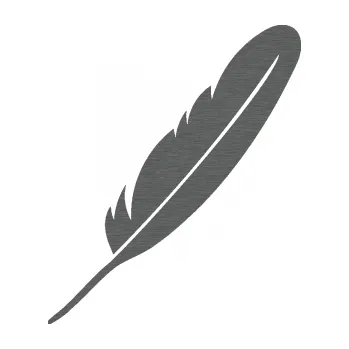 Samolepící dekorace Peříčko 005 pravá (62 - škrábaný titan) SAMOLEPKA NA AUTO, NÁLEPKA, FÓLIE, POLEP, TUNING, VLASTNÍ TEXT, TISK, AUTOSAMOLEPKY.cz, POLEPY, OBRÁZEK, LOGO, 3D STICKERS