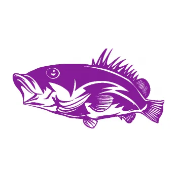 Polep vozidla SAMOLEPKA Ryba 004 levá (14 - fialová) NA AUTO, NÁLEPKA, FÓLIE, POLEP, TUNING, VLASTNÍ TEXT, TISK, AUTOSAMOLEPKY.cz, POLEPY, OBRÁZEK, LOGO, SAMOLEPKY