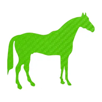 Samolepící dekorace SAMOLEPKA Kůň 004 pravá (58 - 3D karbon zelený kawasaki) NA AUTO, NÁLEPKA, FÓLIE, POLEP, TUNING, VLASTNÍ TEXT, TISK, AUTOSAMOLEPKY.cz, POLEPY, OBRÁZEK, LOGO, SAMOLEPKY