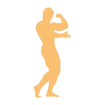 Polep vozidla Kulturista 001 pravá (08 - béžová) SAMOLEPKA NA AUTO, NÁLEPKA, FÓLIE, POLEP, TUNING, VLASTNÍ TEXT, TISK, AUTOSAMOLEPKY.cz, POLEPY, OBRÁZEK, LOGO, 3D STICKERS