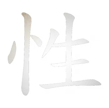 Polep vozidla SAMOLEPKA Čínský znak Sex (82 - odrazková reflexní bílá) NA AUTO, NÁLEPKA, FÓLIE, POLEP, TUNING, VLASTNÍ TEXT, TISK, AUTOSAMOLEPKY.cz, POLEPY, OBRÁZEK, LOGO, SAMOLEPKY