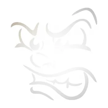 Samolepící dekorace SAMOLEPKA Obličej 001 levá naštvaný (82 - odrazková reflexní bílá) NA AUTO, NÁLEPKA, FÓLIE, POLEP, TUNING, VLASTNÍ TEXT, TISK, AUTOSAMOLEPKY.cz, POLEPY, OBRÁZEK, LOGO, SAMOLEPKY