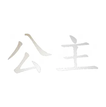 Polep vozidla SAMOLEPKA Čínský znak Princess (82 - odrazková reflexní bílá) NA AUTO, NÁLEPKA, FÓLIE, POLEP, TUNING, VLASTNÍ TEXT, TISK, AUTOSAMOLEPKY.cz, POLEPY, OBRÁZEK, LOGO, SAMOLEPKY