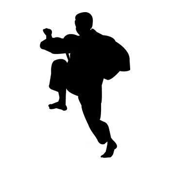 Polep vozidla Karate 007 levá (01 - černá) SAMOLEPKA NA AUTO, NÁLEPKA, FÓLIE, POLEP, TUNING, VLASTNÍ TEXT, TISK, AUTOSAMOLEPKY.cz, POLEPY, OBRÁZEK, LOGO, 3D STICKERS