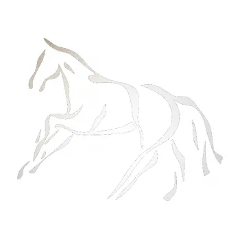 Samolepící dekorace SAMOLEPKA Kůň 024 levá (82 - odrazková reflexní bílá) NA AUTO, NÁLEPKA, FÓLIE, POLEP, TUNING, VLASTNÍ TEXT, TISK, AUTOSAMOLEPKY.cz, POLEPY, OBRÁZEK, LOGO, SAMOLEPKY