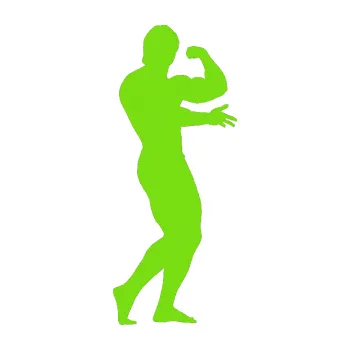 Polep vozidla Kulturista 001 pravá (04 - zelená kawasaki) SAMOLEPKA NA AUTO, NÁLEPKA, FÓLIE, POLEP, TUNING, VLASTNÍ TEXT, TISK, AUTOSAMOLEPKY.cz, POLEPY, OBRÁZEK, LOGO, 3D STICKERS