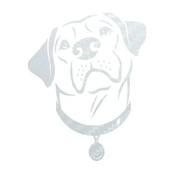 Polep vozidla SAMOLEPKA Pes 119 levá Labrador (51 - 3D karbon bílý) NA AUTO, NÁLEPKA, FÓLIE, POLEP, TUNING, VLASTNÍ TEXT, TISK, AUTOSAMOLEPKY.cz, POLEPY, OBRÁZEK, LOGO, SAMOLEPKY