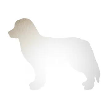 Polep vozidla SAMOLEPKA Pes 157 levá bernský salašnický (82 - odrazková reflexní bílá) NA AUTO, NÁLEPKA, FÓLIE, POLEP, TUNING, VLASTNÍ TEXT, TISK, AUTOSAMOLEPKY.cz, POLEPY, OBRÁZEK, LOGO, SAMOLEPKY