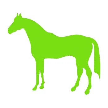 Samolepící dekorace Kůň 004 levá (04 - zelená kawasaki) SAMOLEPKA NA AUTO, NÁLEPKA, FÓLIE, POLEP, TUNING, VLASTNÍ TEXT, TISK, AUTOSAMOLEPKY.cz, POLEPY, OBRÁZEK, LOGO, 3D STICKERS