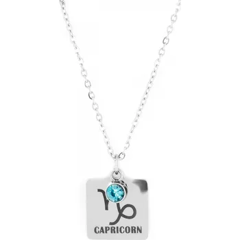 Náhrdelník BRUNOshop.cz Náhrdelník znamení zvěrokruhu KOZOROH s kamínkem stříbrná