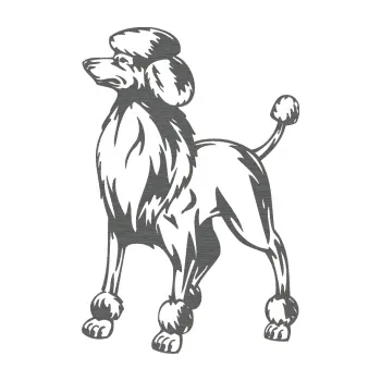 Polep vozidla SAMOLEPKA Pes 014 levá Pudl (62 - škrábaný titan) NA AUTO, NÁLEPKA, FÓLIE, POLEP, TUNING, VLASTNÍ TEXT, TISK, AUTOSAMOLEPKY.cz, POLEPY, OBRÁZEK, LOGO, SAMOLEPKY