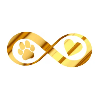 Polep vozidla SAMOLEPKA NA AUTO Infinity 002 srdce a tlapka pravá (81 - chrom fólie zlatá zrcadlová) NÁLEPKA, FÓLIE, POLEP, TUNING, VLASTNÍ TEXT, TISK, AUTOSAMOLEPKY.cz, POLEPY, OBRÁZEK, LOGO, SAMOLEPKY