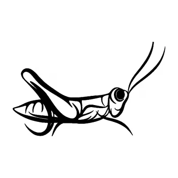 Samolepící dekorace SAMOLEPKA Kobylka 001 pravá (01 - černá) NA AUTO, NÁLEPKA, FÓLIE, POLEP, TUNING, VLASTNÍ TEXT, TISK, AUTOSAMOLEPKY.cz, POLEPY, OBRÁZEK, LOGO, SAMOLEPKY