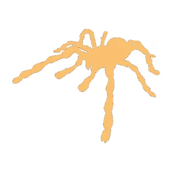 Samolepící dekorace Pavouk 013 - levá (08 - béžová) SAMOLEPKA NA AUTO, NÁLEPKA, FÓLIE, POLEP, TUNING, VLASTNÍ TEXT, TISK, AUTOSAMOLEPKY.cz, POLEPY, OBRÁZEK, LOGO, 3D STICKERS