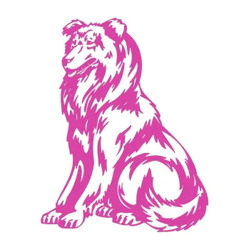 samolepka Pes 037 levá Kolie (16 - růžová) SAMOLEPKA NA AUTO, NÁLEPKA, FÓLIE, POLEP, TUNING, VLASTNÍ TEXT, TISK, AUTOSAMOLEPKY.cz, POLEPY, OBRÁZEK, LOGO, 3D STICKERS