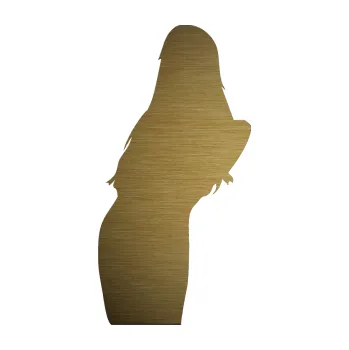 Polep vozidla Erotická žena 005 levá (64 - škrábaný kov zlatý) SAMOLEPKA NA AUTO, NÁLEPKA, FÓLIE, POLEP, TUNING, VLASTNÍ TEXT, TISK, AUTOSAMOLEPKY.cz, POLEPY, OBRÁZEK, LOGO, 3D STICKERS