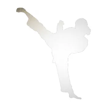 Polep vozidla SAMOLEPKA Karate 012 levá (82 - odrazková reflexní bílá) NA AUTO, NÁLEPKA, FÓLIE, POLEP, TUNING, VLASTNÍ TEXT, TISK, AUTOSAMOLEPKY.cz, POLEPY, OBRÁZEK, LOGO, SAMOLEPKY