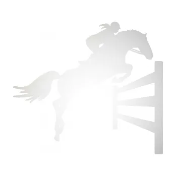 Samolepící dekorace SAMOLEPKA Kůň 080 pravá skok přes překážku (82 - odrazková reflexní bílá) NA AUTO, NÁLEPKA, FÓLIE, POLEP, TUNING, VLASTNÍ TEXT, TISK, AUTOSAMOLEPKY.cz, POLEPY, OBRÁZEK, LOGO, SAMOLEPKY