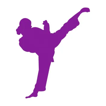 Polep vozidla Karate 012 pravá (14 - fialová) SAMOLEPKA NA AUTO, NÁLEPKA, FÓLIE, POLEP, TUNING, VLASTNÍ TEXT, TISK, AUTOSAMOLEPKY.cz, POLEPY, OBRÁZEK, LOGO, 3D STICKERS