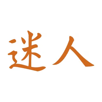 Polep vozidla SAMOLEPKA Čínský znak Attractive (26 - oříšková) NA AUTO, NÁLEPKA, FÓLIE, POLEP, TUNING, VLASTNÍ TEXT, TISK, AUTOSAMOLEPKY.cz, POLEPY, OBRÁZEK, LOGO, SAMOLEPKY