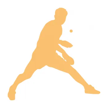 Polep vozidla SAMOLEPKA Ping pong 002 pravá (08 - béžová) NA AUTO, NÁLEPKA, FÓLIE, POLEP, TUNING, VLASTNÍ TEXT, TISK, AUTOSAMOLEPKY.cz, POLEPY, OBRÁZEK, LOGO, SAMOLEPKY