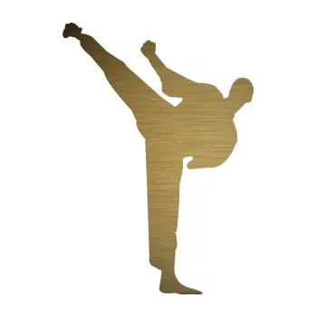 Polep vozidla SAMOLEPKA Karate 001 levá (64 - škrábaný kov zlatý) NA AUTO, NÁLEPKA, FÓLIE, POLEP, TUNING, VLASTNÍ TEXT, TISK, AUTOSAMOLEPKY.cz, POLEPY, OBRÁZEK, LOGO, SAMOLEPKY