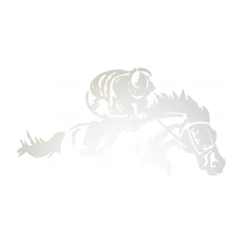 Samolepící dekorace SAMOLEPKA Kůň 075 pravá závod s jezdcem, dostihy (82 - odrazková reflexní bílá) NA AUTO, NÁLEPKA, FÓLIE, POLEP, TUNING, VLASTNÍ TEXT, TISK, AUTOSAMOLEPKY.cz, POLEPY, OBRÁZEK, LOGO, SAMOLEPKY