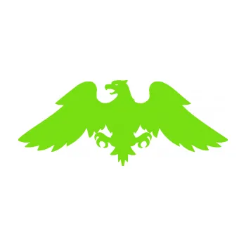 Samolepící dekorace Orlice 002 levá (04 - zelená kawasaki) SAMOLEPKA NA AUTO, NÁLEPKA, FÓLIE, POLEP, TUNING, VLASTNÍ TEXT, TISK, AUTOSAMOLEPKY.cz, POLEPY, OBRÁZEK, LOGO, 3D STICKERS