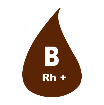 Polep vozidla SAMOLEPKA Krevní skupina B Rh+ kapka (15 - hnědá) NA AUTO, NÁLEPKA, FÓLIE, POLEP, TUNING, VLASTNÍ TEXT, TISK, AUTOSAMOLEPKY.cz, POLEPY, OBRÁZEK, LOGO, SAMOLEPKY