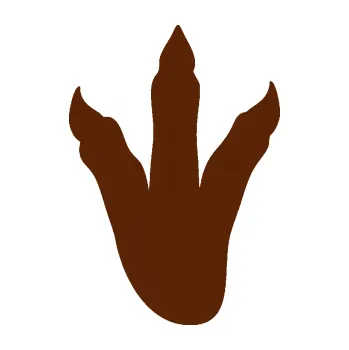 Samolepící dekorace SAMOLEPKA Dinosaurus stopa 001 levá (15 - hnědá) NA AUTO, NÁLEPKA, FÓLIE, POLEP, TUNING, VLASTNÍ TEXT, TISK, AUTOSAMOLEPKY.cz, POLEPY, OBRÁZEK, LOGO, SAMOLEPKY