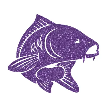 Polep vozidla SAMOLEPKA Kapr 008 pravá (87 - Ultra Metalic fialová) NA AUTO, NÁLEPKA, FÓLIE, POLEP, TUNING, VLASTNÍ TEXT, TISK, AUTOSAMOLEPKY.cz, POLEPY, OBRÁZEK, LOGO, SAMOLEPKY