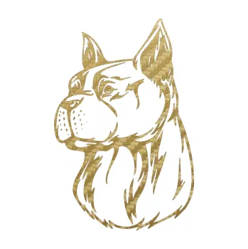 Polep vozidla SAMOLEPKA Pes 017 levá (59 - 3D karbon zlatý) NA AUTO, NÁLEPKA, FÓLIE, POLEP, TUNING, VLASTNÍ TEXT, TISK, AUTOSAMOLEPKY.cz, POLEPY, OBRÁZEK, LOGO, SAMOLEPKY