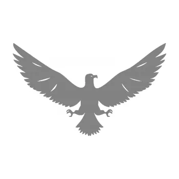 Samolepící dekorace SAMOLEPKA Orlice 004 pravá (17 - šedá) NA AUTO, NÁLEPKA, FÓLIE, POLEP, TUNING, VLASTNÍ TEXT, TISK, AUTOSAMOLEPKY.cz, POLEPY, OBRÁZEK, LOGO, SAMOLEPKY